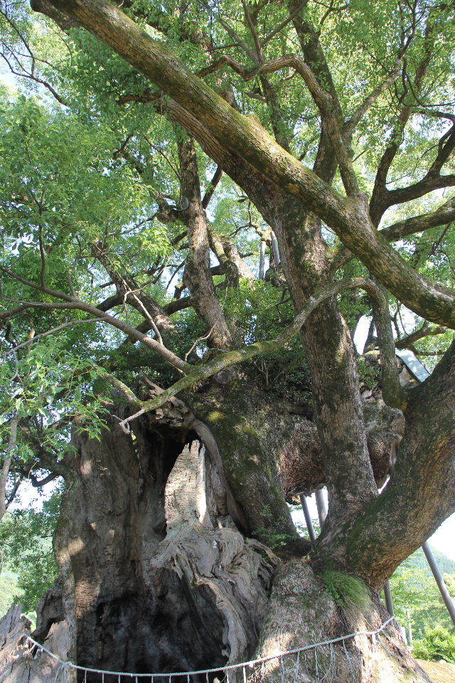 c0011649_22460737.jpg
