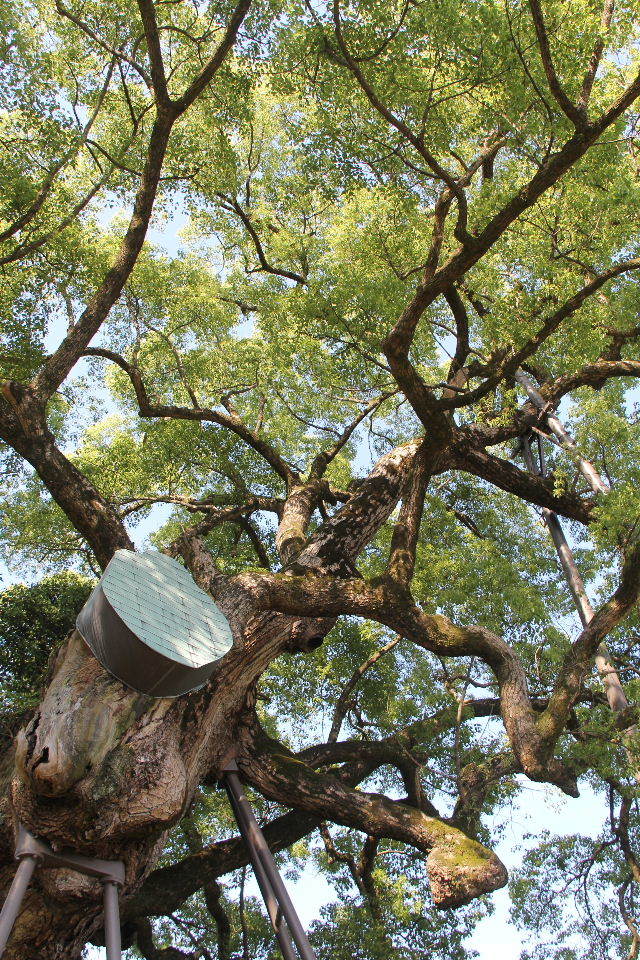 c0011649_23572548.jpg