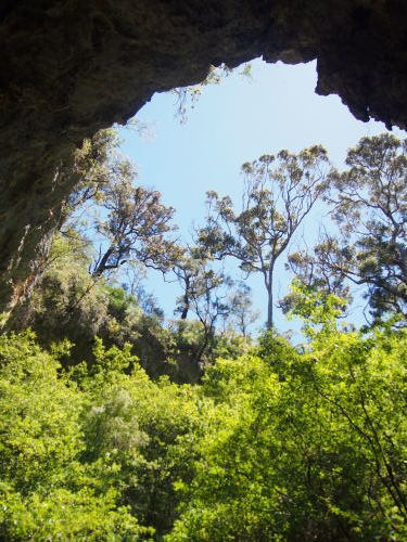 c0351060_23370625.jpg