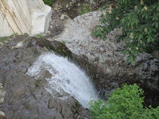 d0045362_09551639.jpg