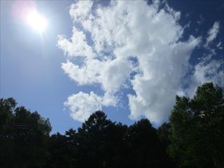d0045362_20343650.jpg