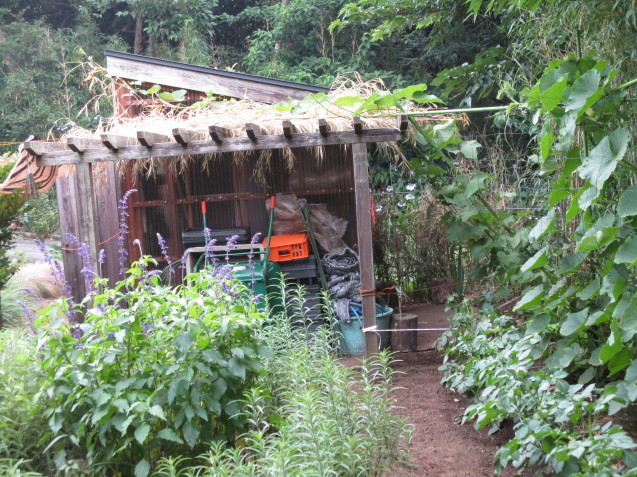 b0366663_22122636.jpg