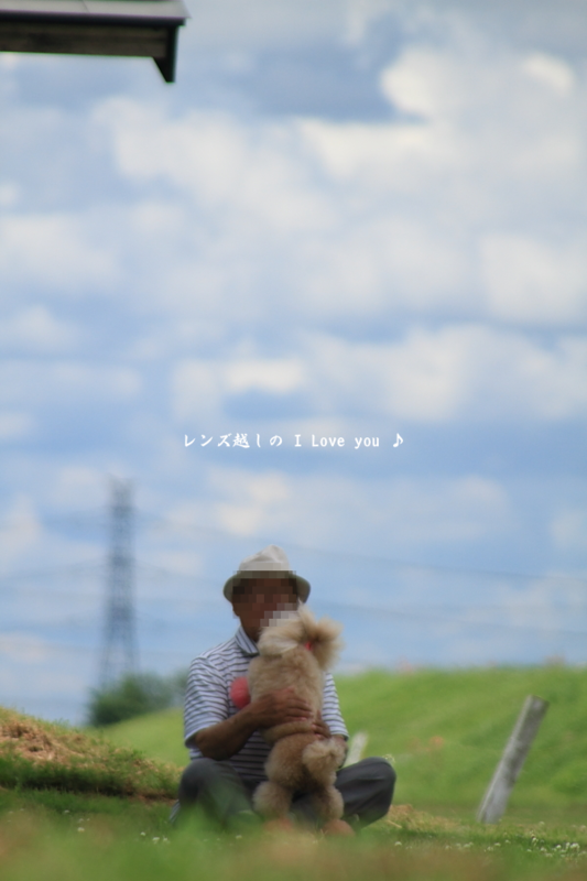 d0367763_18380043.png