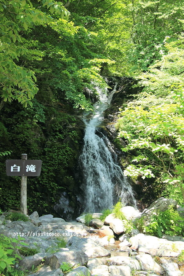 d0367763_21262004.jpg