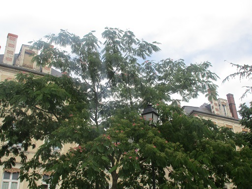 f0361764_05525907.jpg