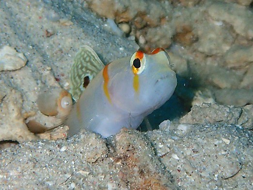 e0132965_07045628.jpg