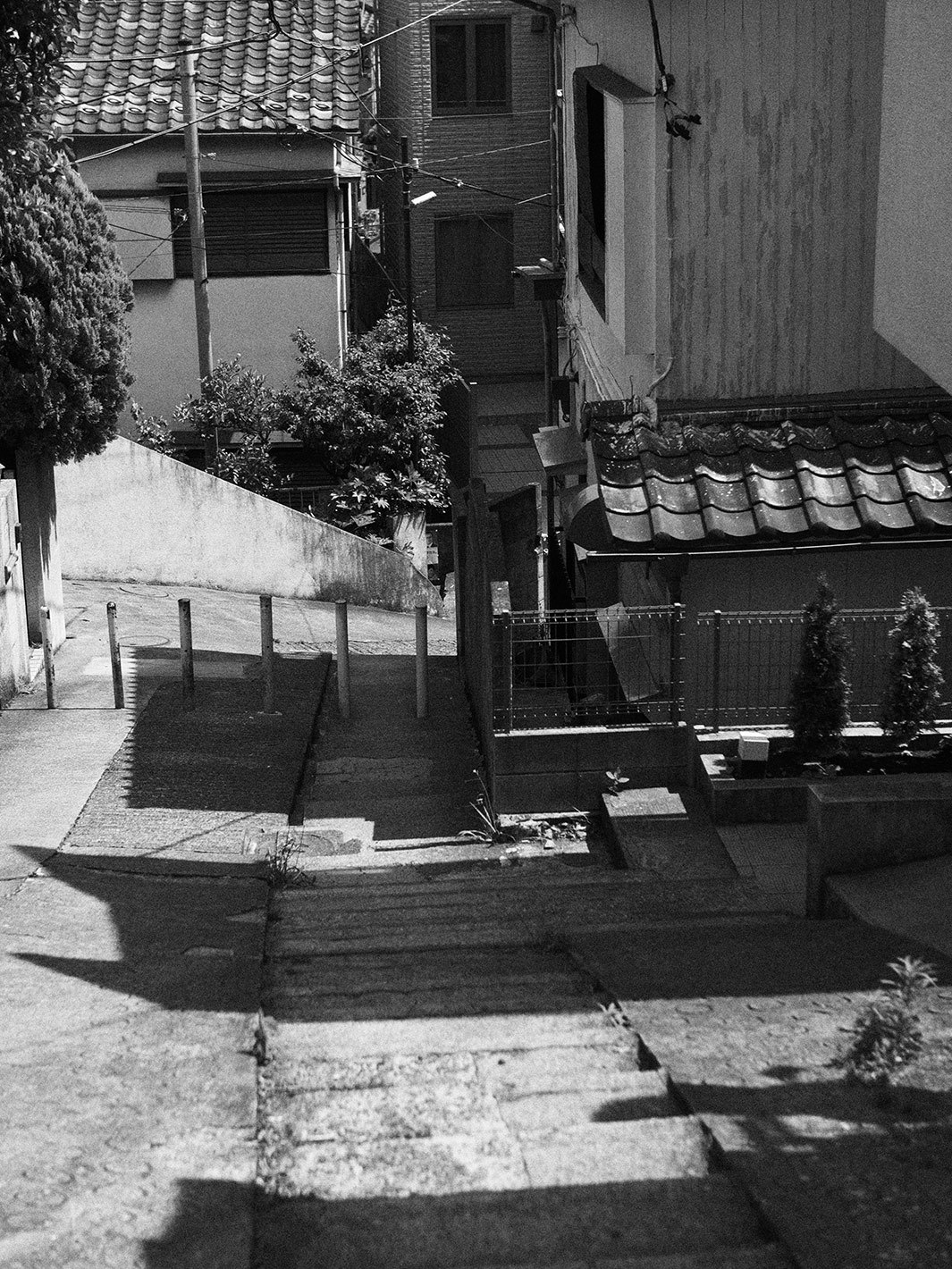 f0121181_06391935.jpg