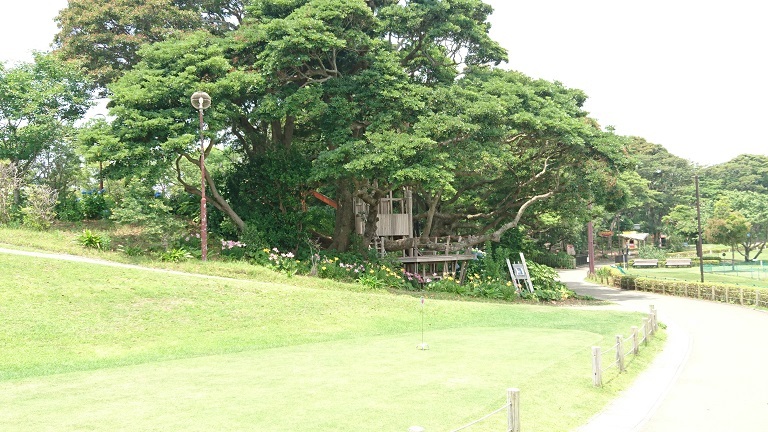 e0223684_20530988.jpg
