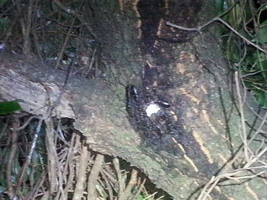f0183484_18233722.jpg