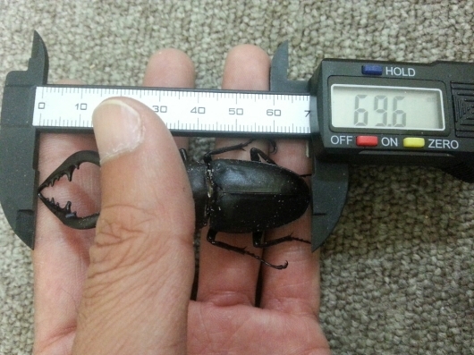 f0183484_18234164.jpg