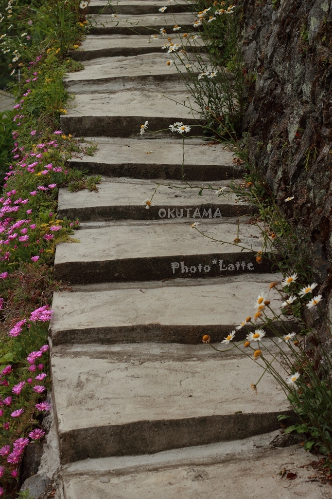 e0364195_22014752.jpg