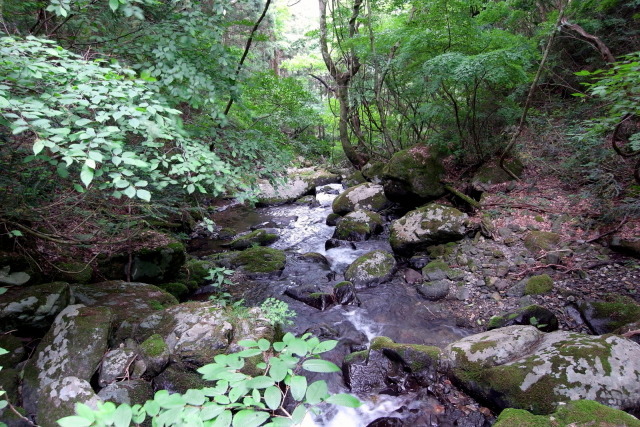 f0325295_11440756.jpg