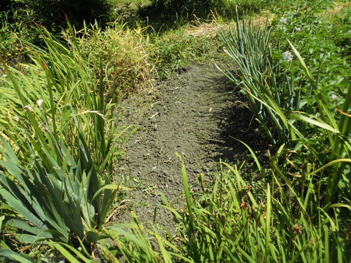 c0108198_15533811.jpg