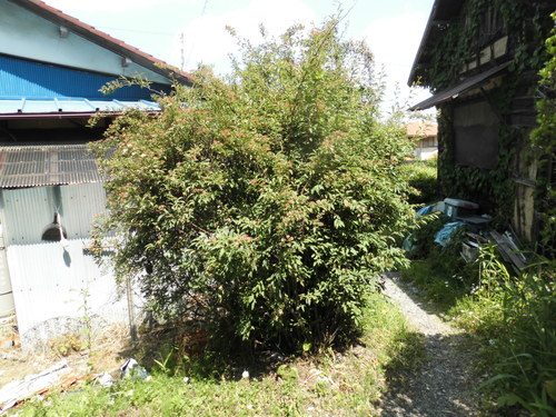 c0108198_15563480.jpg