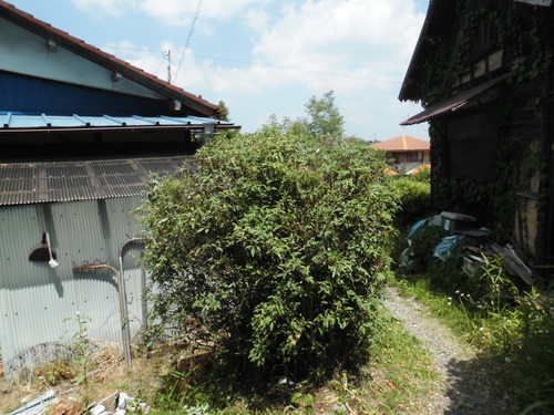 c0108198_15574570.jpg