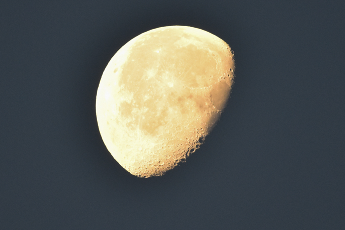 c0049299_21592041.jpg