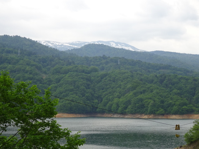 c0369304_22330311.jpg