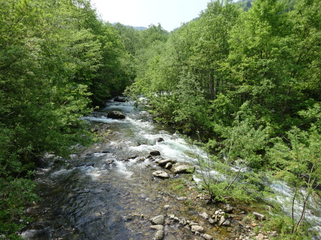 c0369304_22330962.jpg