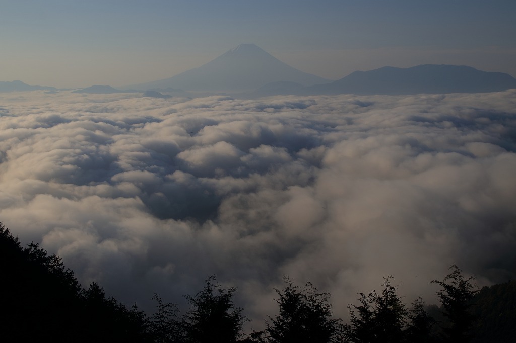 a0188405_00575967.jpg