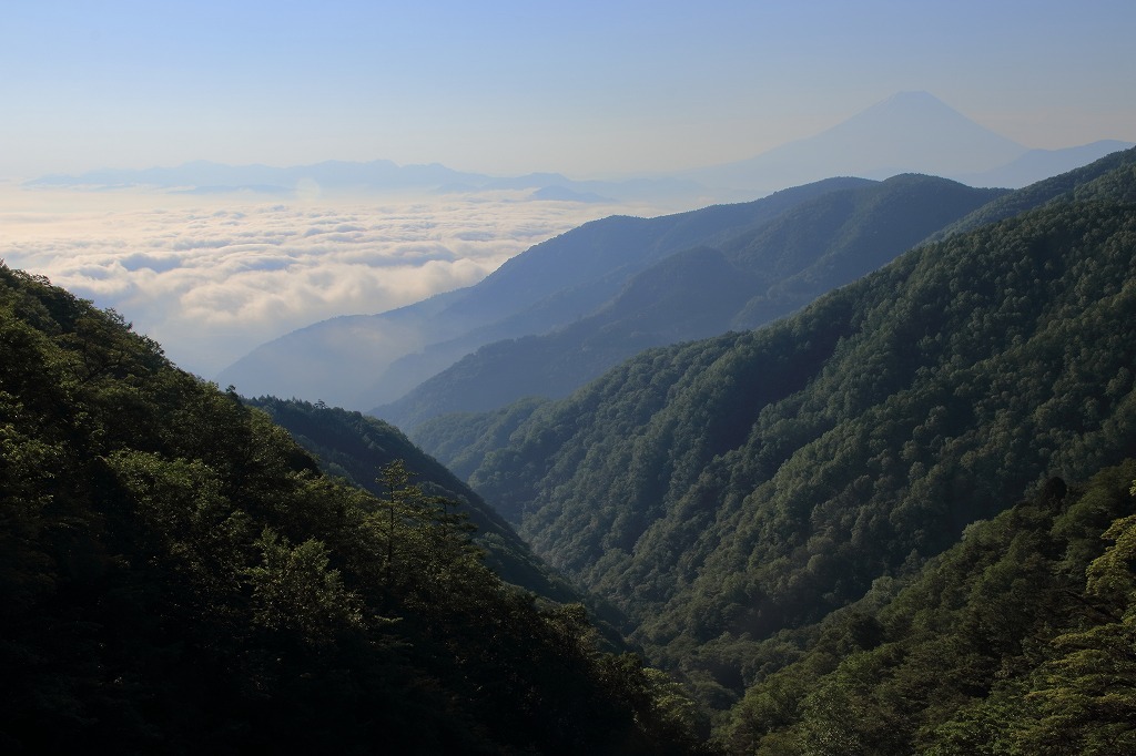 a0188405_21450808.jpg