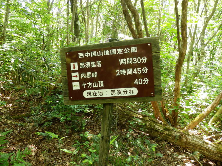 f0219710_11305899.jpg