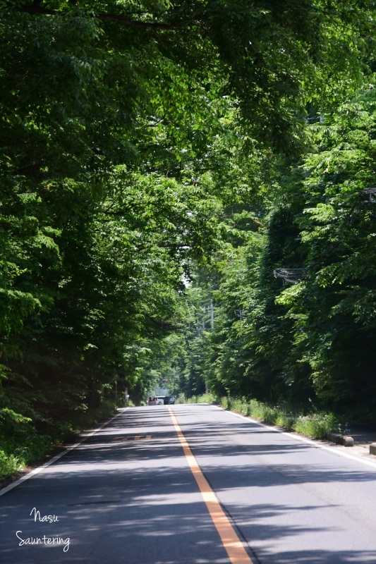 b0223512_00281436.jpg