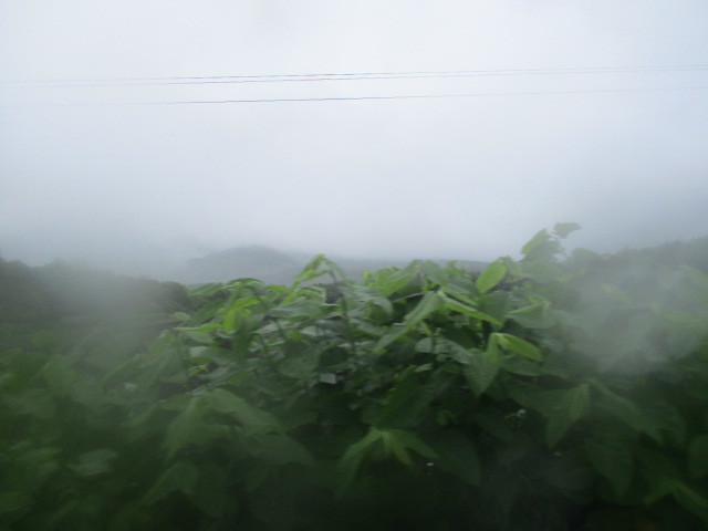c0292312_18232936.jpg