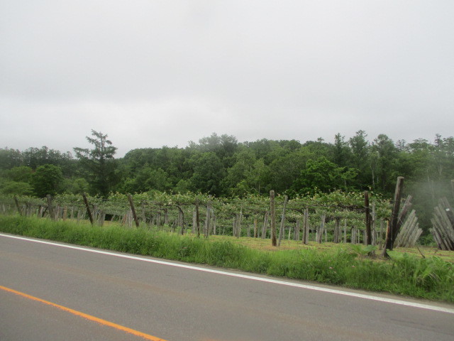 c0292312_21064856.jpg