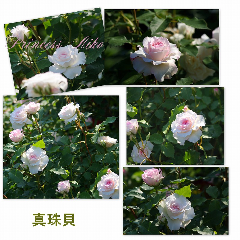 d0147812_019767.jpg