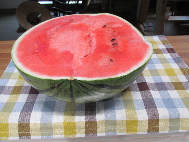 f0341616_15180613.jpg