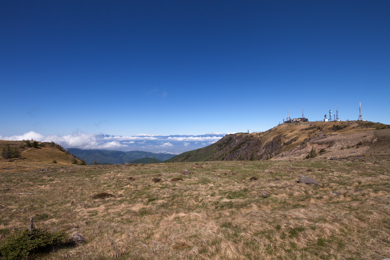 c0369219_12385824.jpg