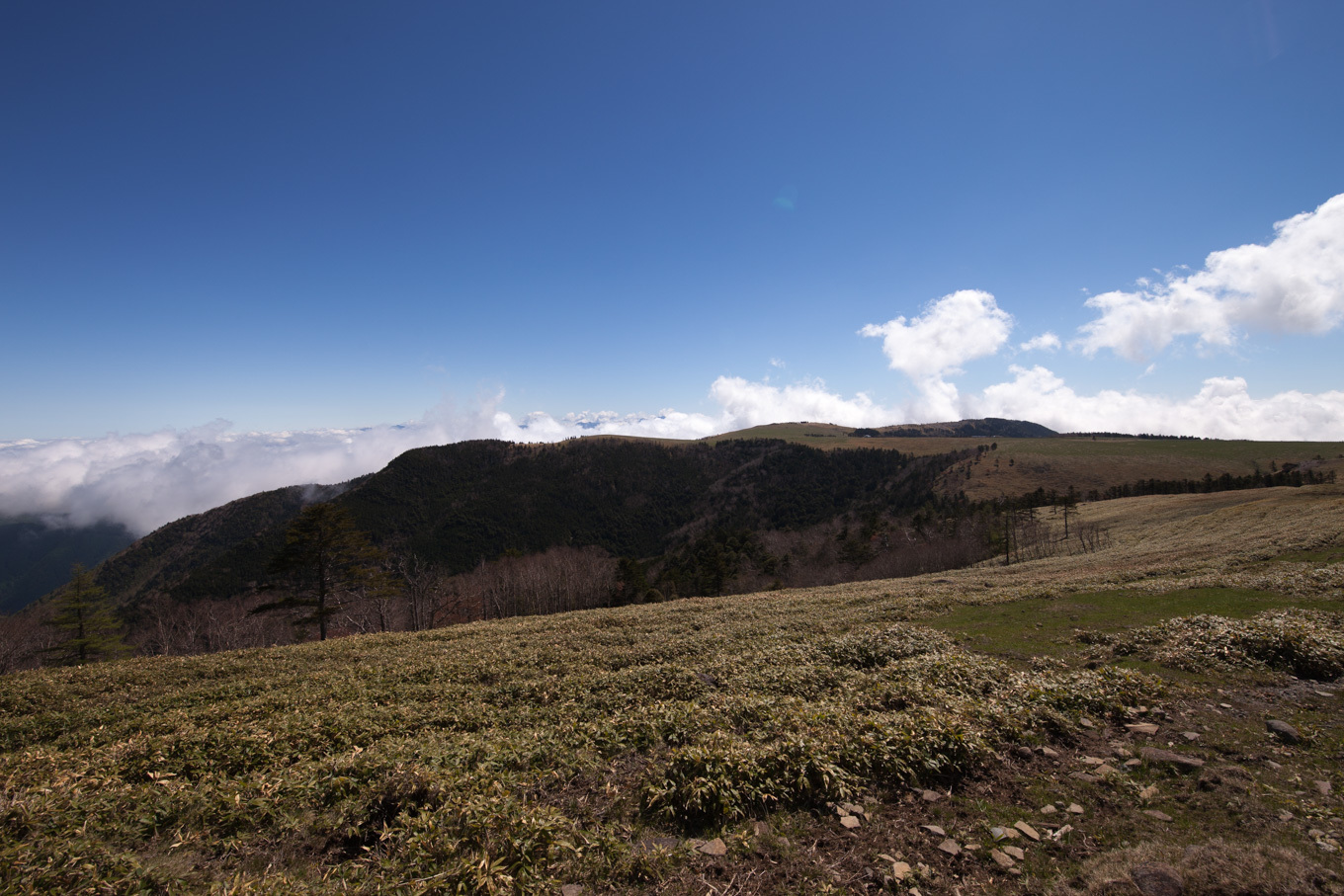 c0369219_13344351.jpg