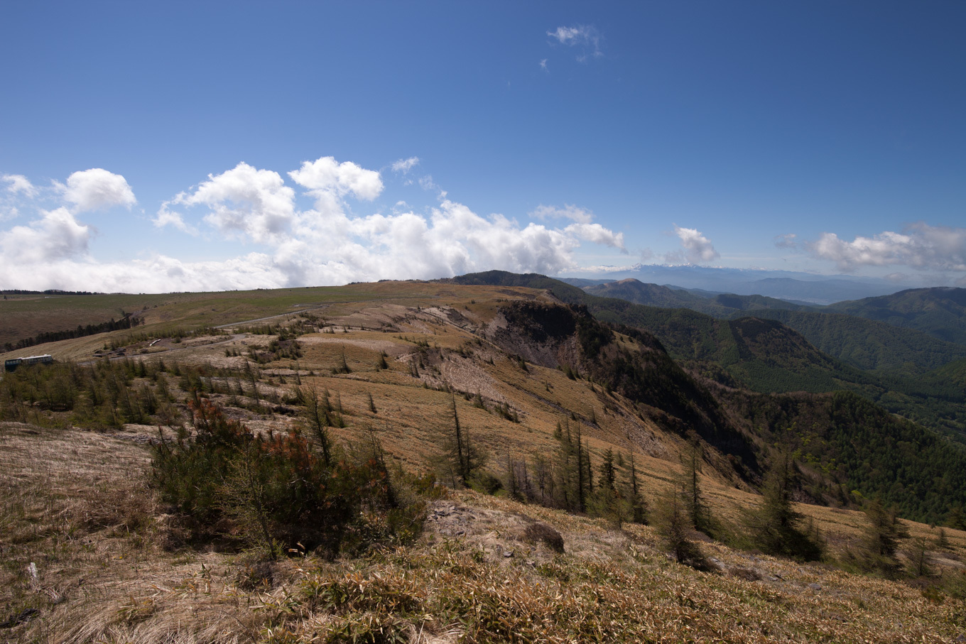 c0369219_13513852.jpg