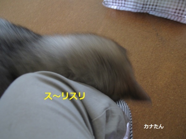 f0143123_11095241.jpg