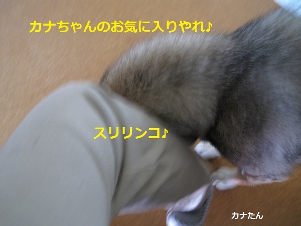 f0143123_11112628.jpg