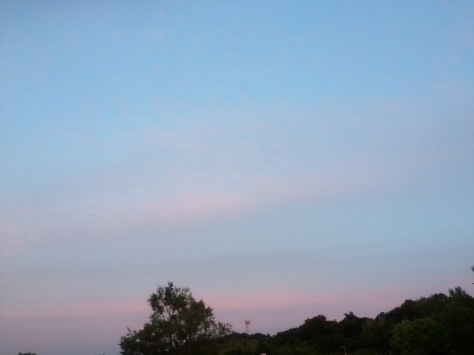 c0077330_12085776.jpg