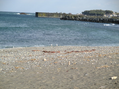 e0132433_19412568.jpg
