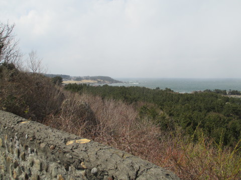 e0132433_19424840.jpg