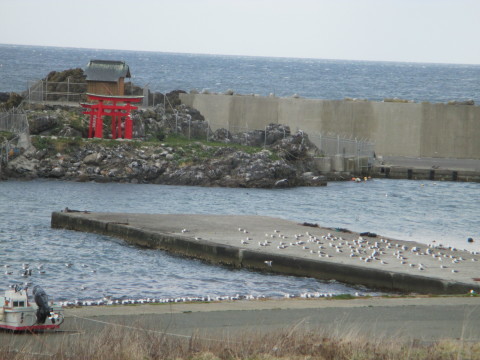 e0132433_19425612.jpg