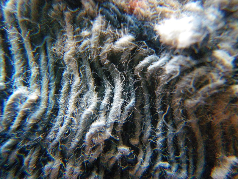 c0033636_11185784.jpg