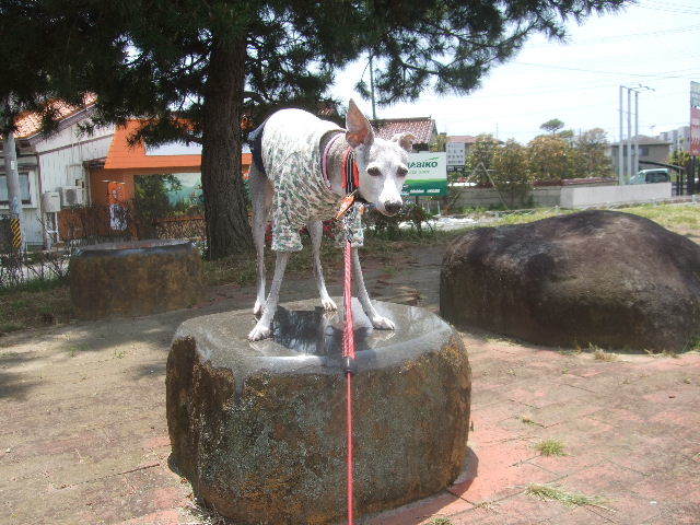f0363538_20403921.jpg
