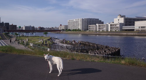 a0117039_21274859.jpg