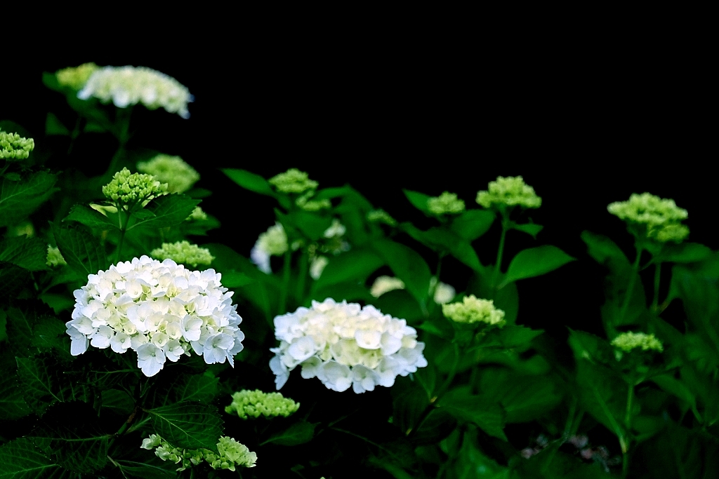 b0314043_08161830.jpg