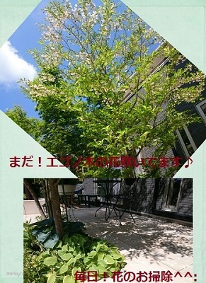 d0306248_12541246.jpg