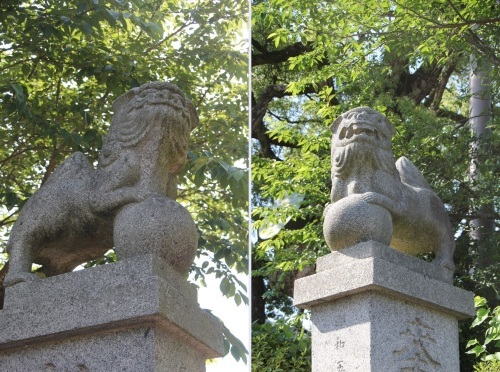 c0011649_00025311.jpg