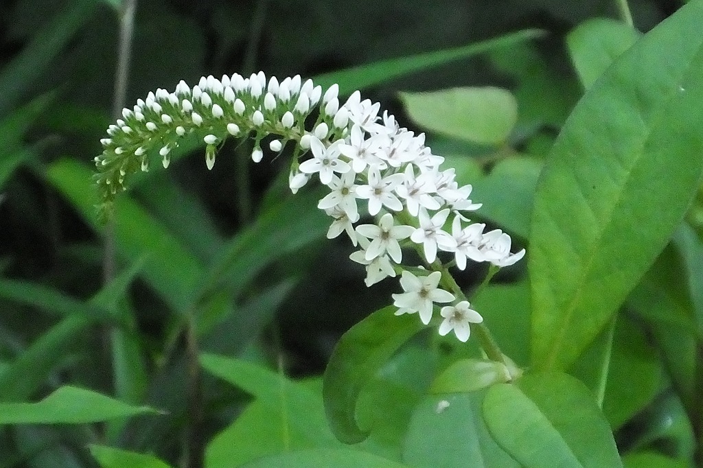 b0236251_14083040.jpg