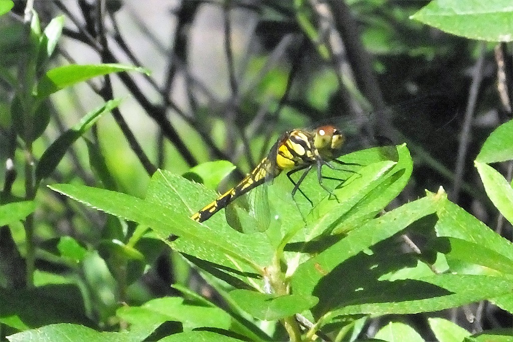 b0236251_14124566.jpg