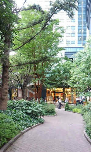 b0053654_12325291.jpg