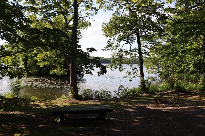b0250154_20262184.jpg