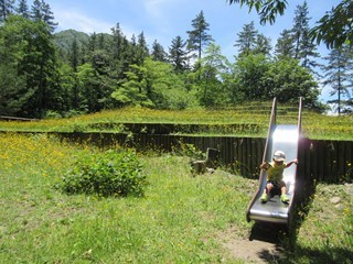 c0214656_17572481.jpg